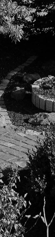 Garten 'Naturnah' - Detailansicht