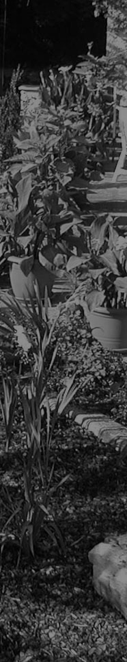 Garten 'Paradies' - Detailansicht